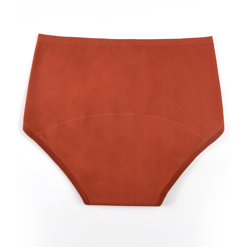 Calcinhas menstruais sem costu - Period Panty Absorbent avaliação e preço
